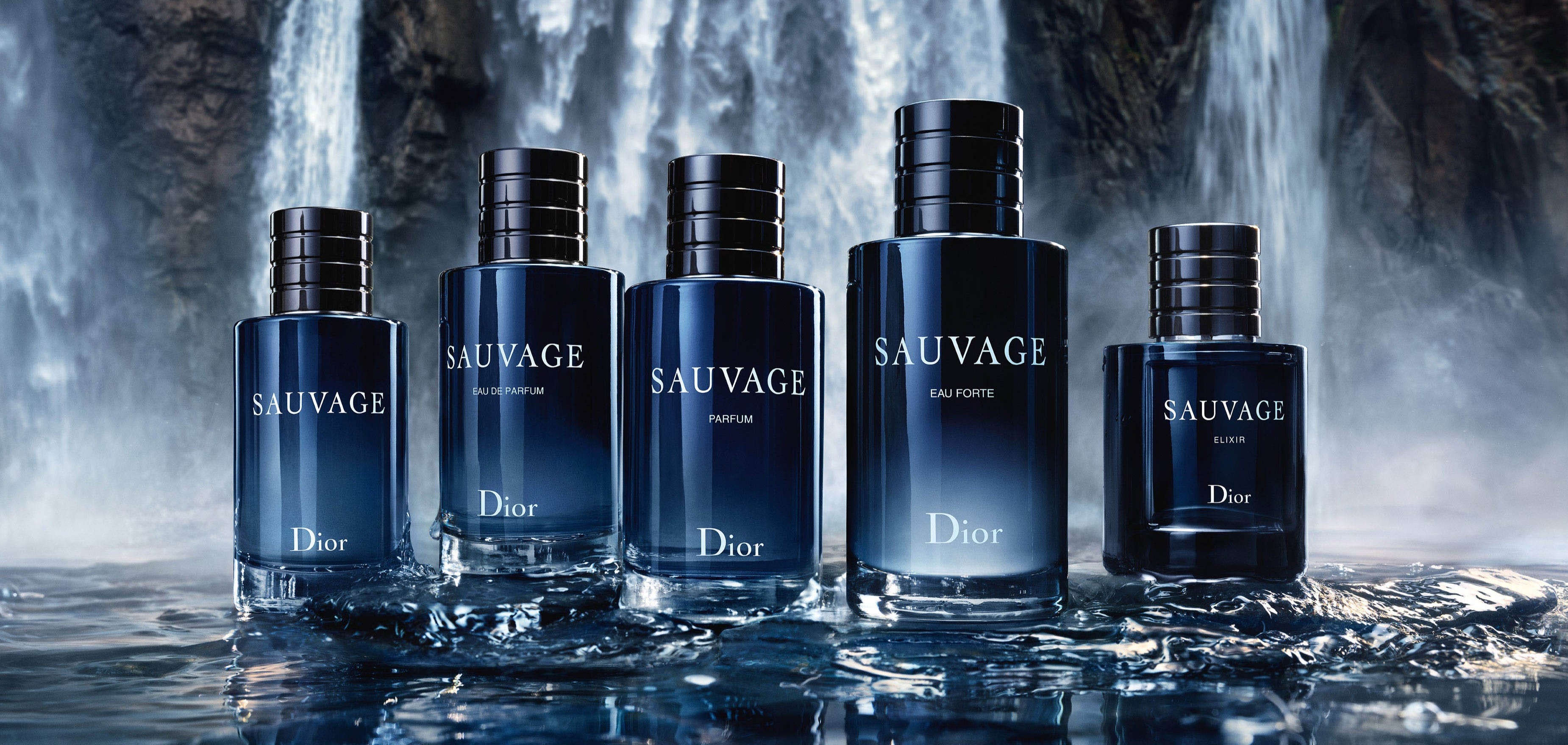 DIOR PAGINA BANNER