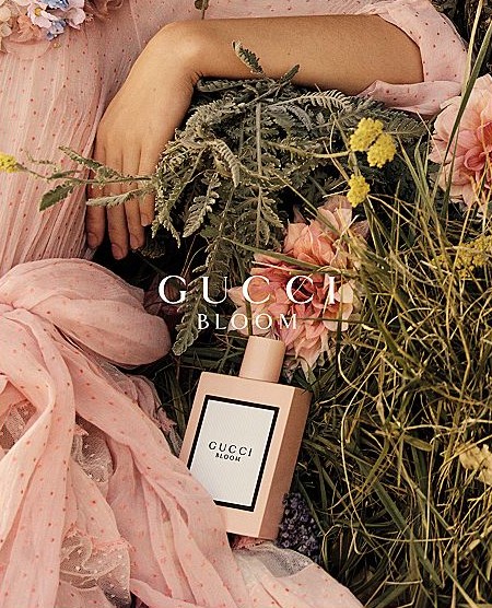 BLOOM EDP